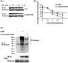 FIG 12
