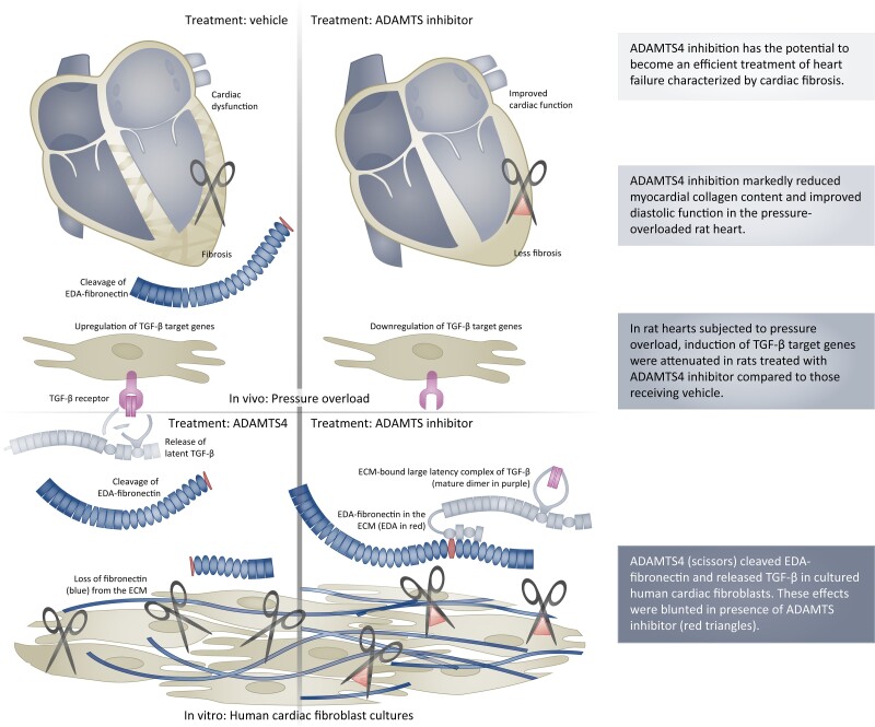 Graphical Abstract