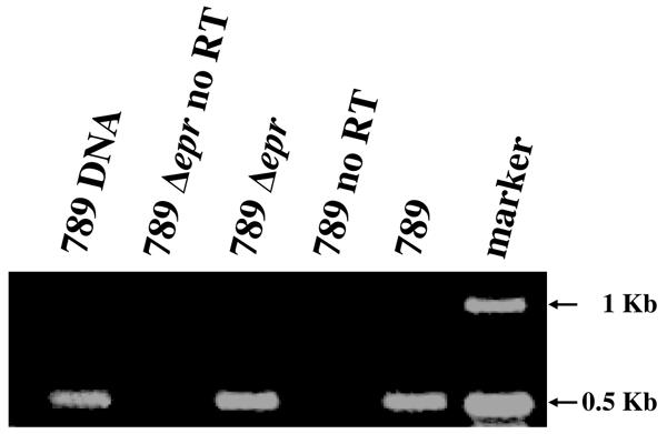 FIG. 6.