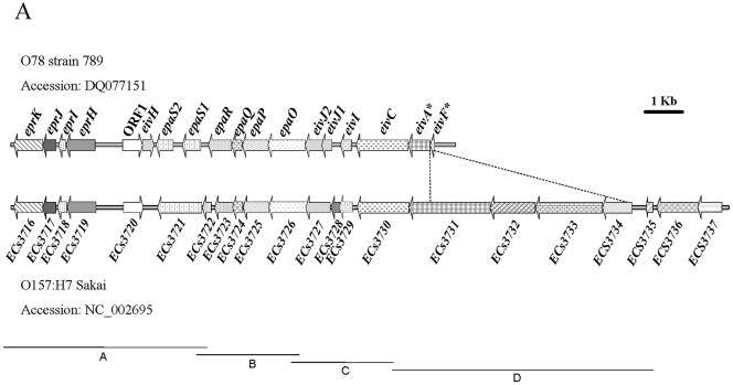 FIG.1.