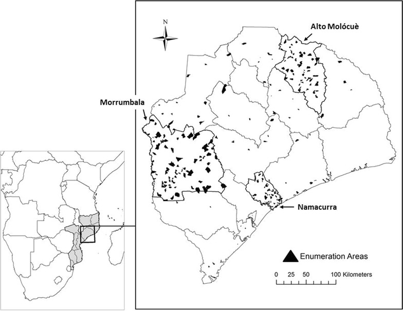 Fig. 1