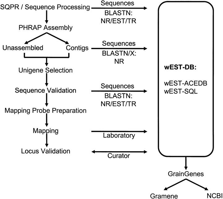 Figure 1.—