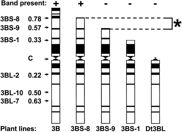 Figure 4.—