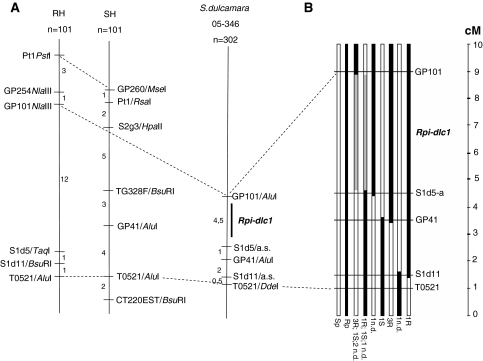 Fig. 2