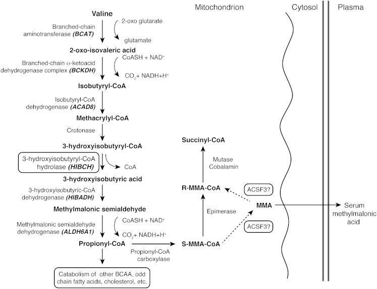 Figure 4