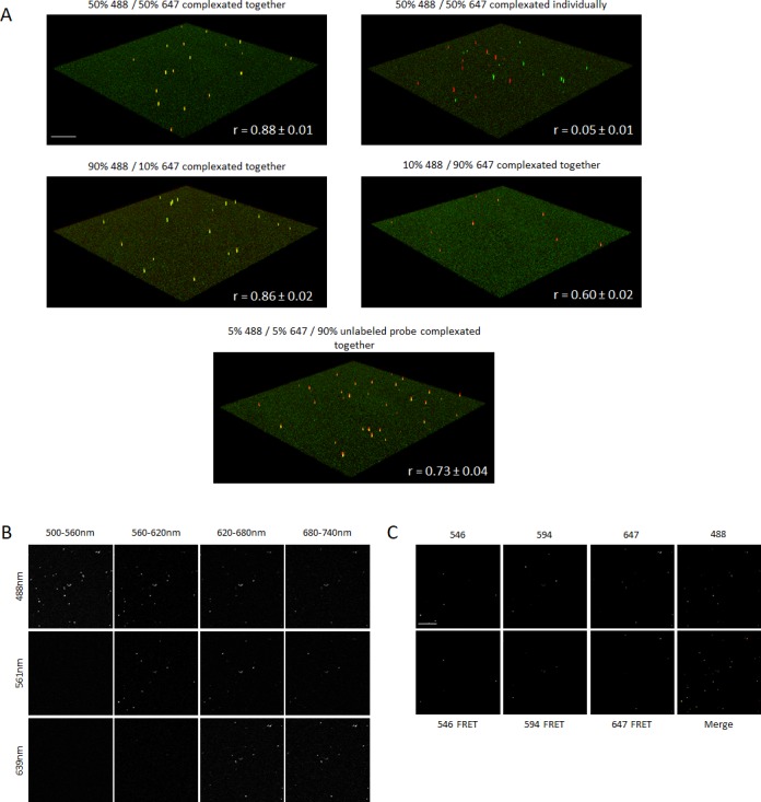 Figure 6—figure supplement 1.