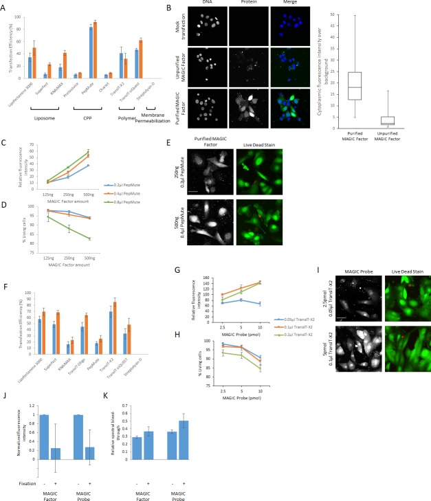 Figure 2—figure supplement 1.