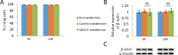Figure 2—figure supplement 3.