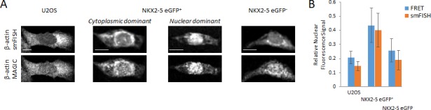 Figure 2—figure supplement 2.