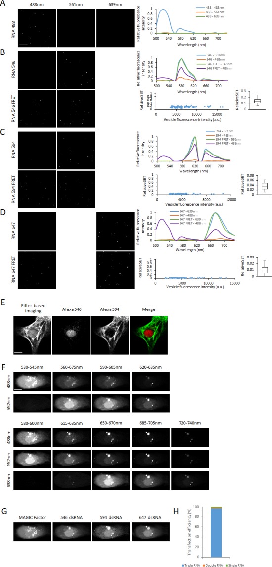 Figure 6—figure supplement 2.