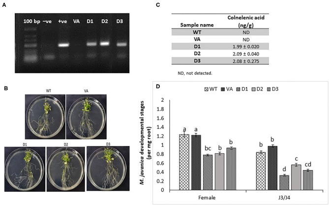 Figure 6