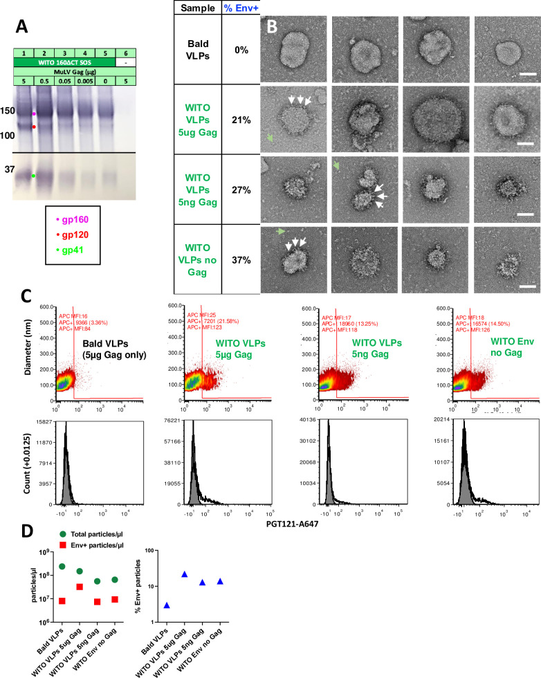 Fig 10