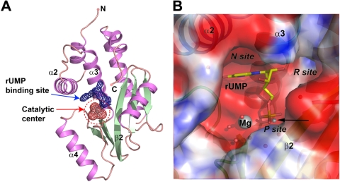 FIG. 1.