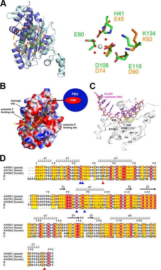 FIG. 4.