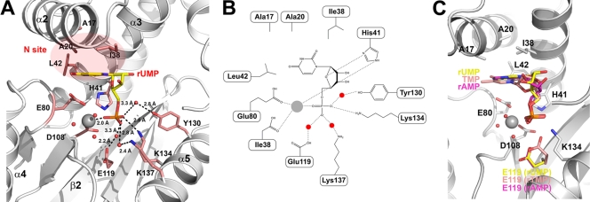 FIG. 3.