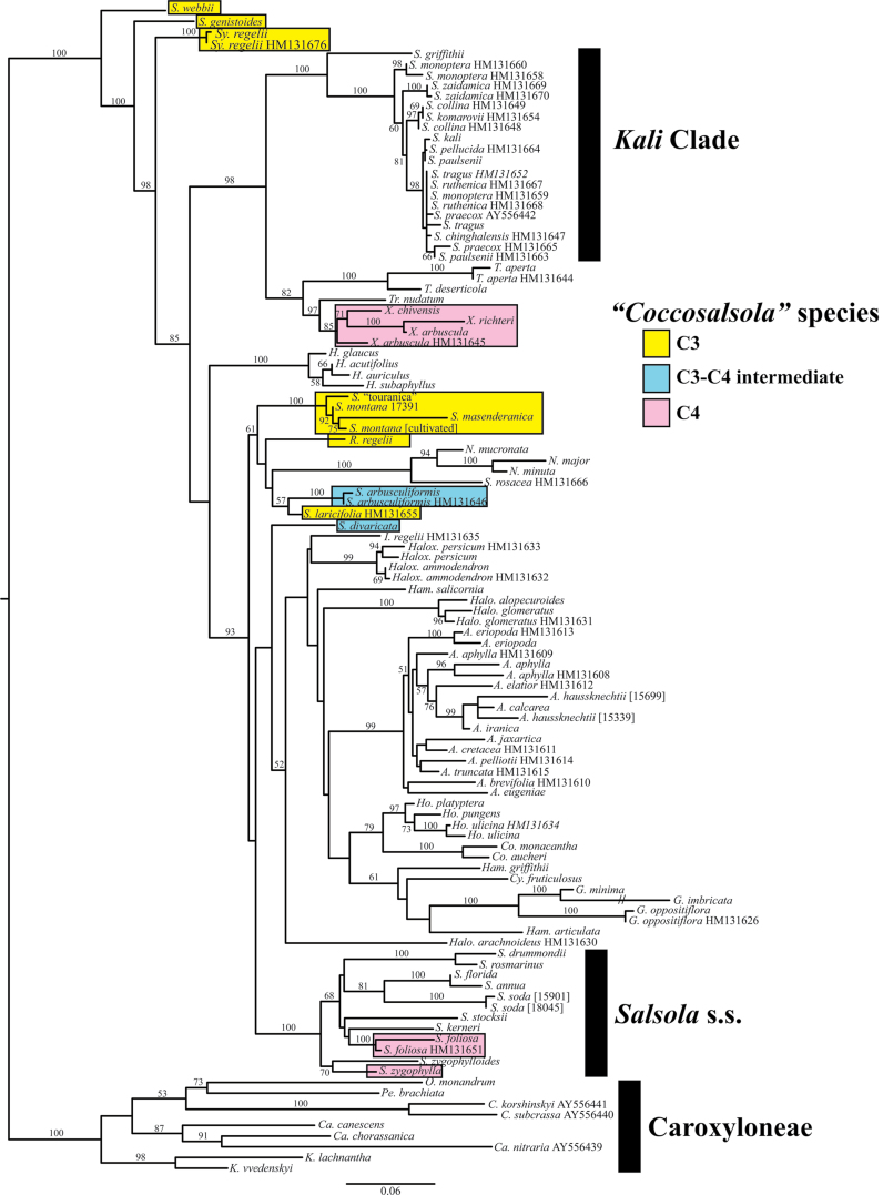 Fig. 8.