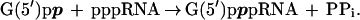 graphic file with name M1.gif