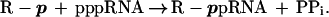 graphic file with name M4.gif