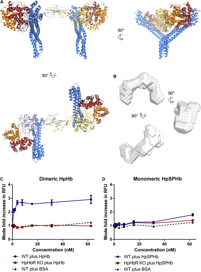 Figure 4.