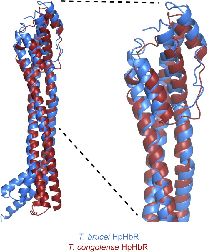 Figure 1—figure supplement 2.