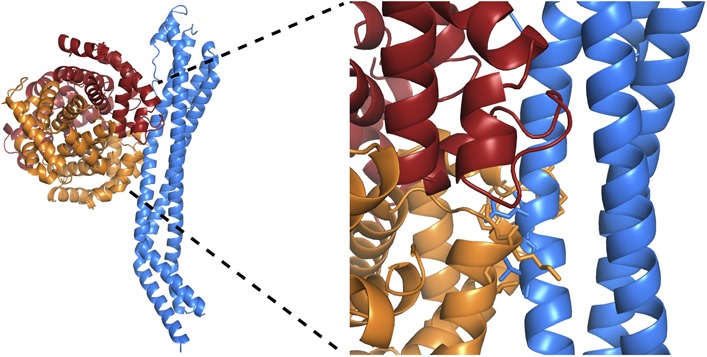 Figure 2—figure supplement 3.