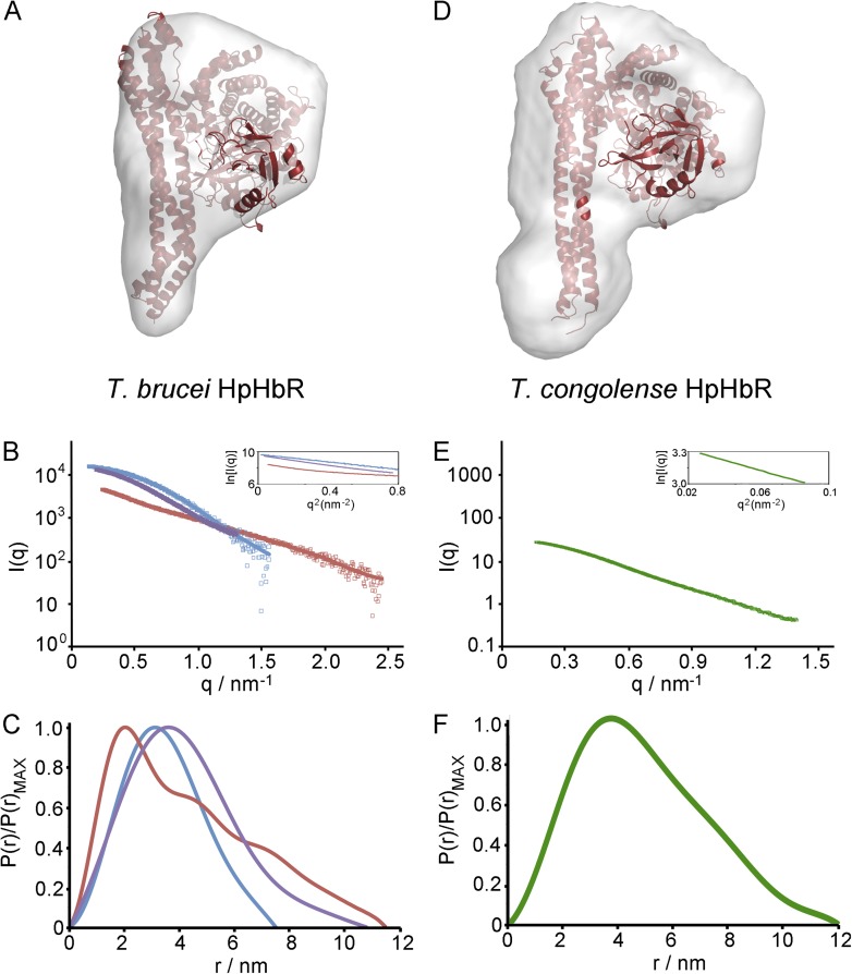 Figure 2—figure supplement 2.