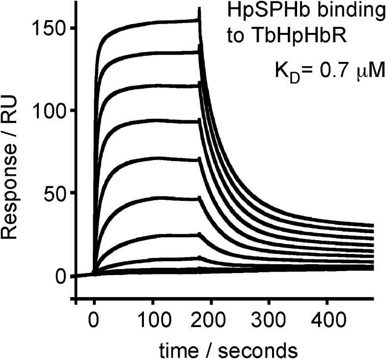 Figure 1—figure supplement 1.