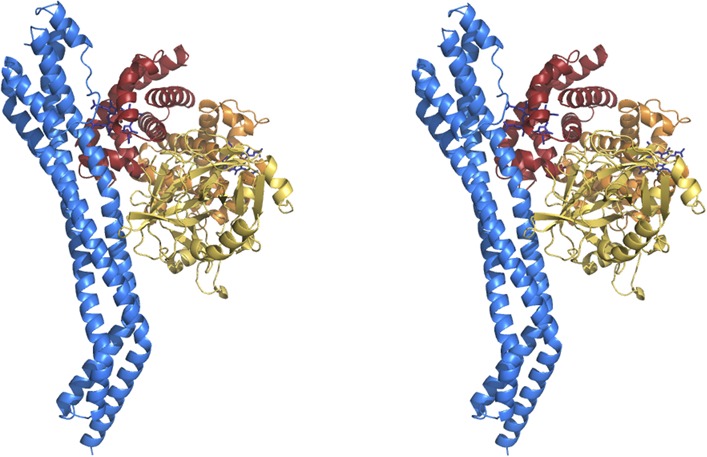 Figure 2—figure supplement 1.