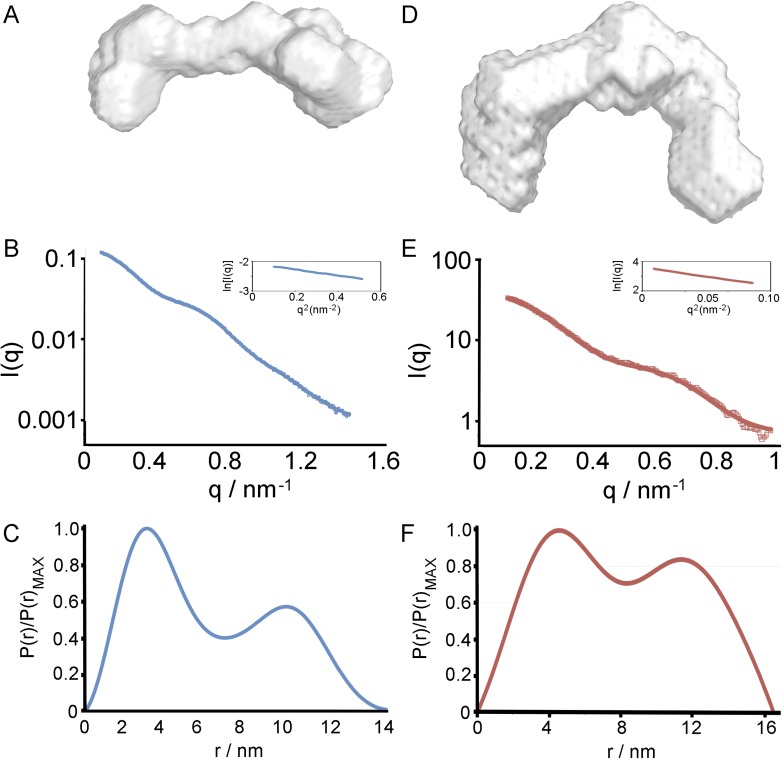 Figure 4—figure supplement 1.