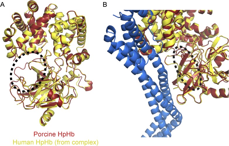 Figure 2—figure supplement 4.