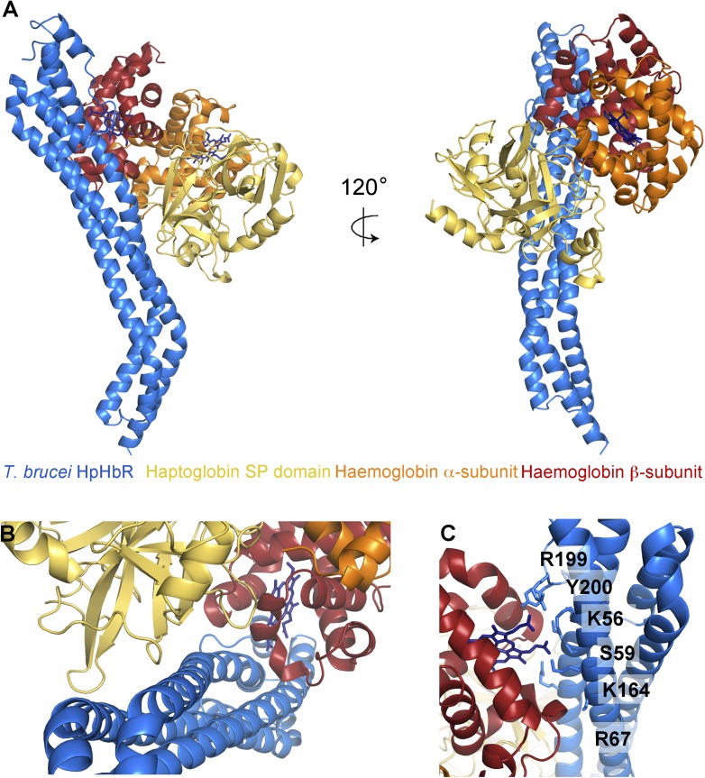 Figure 2.