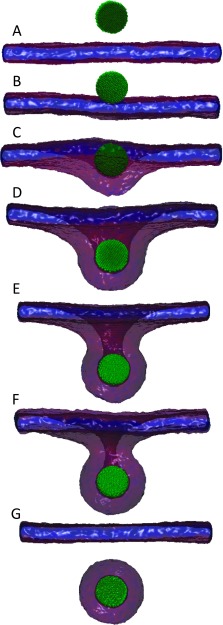 FIG. 2.