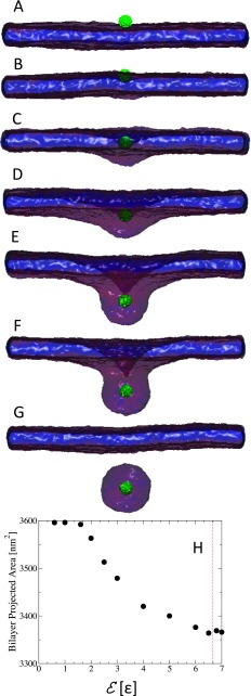 FIG. 1.