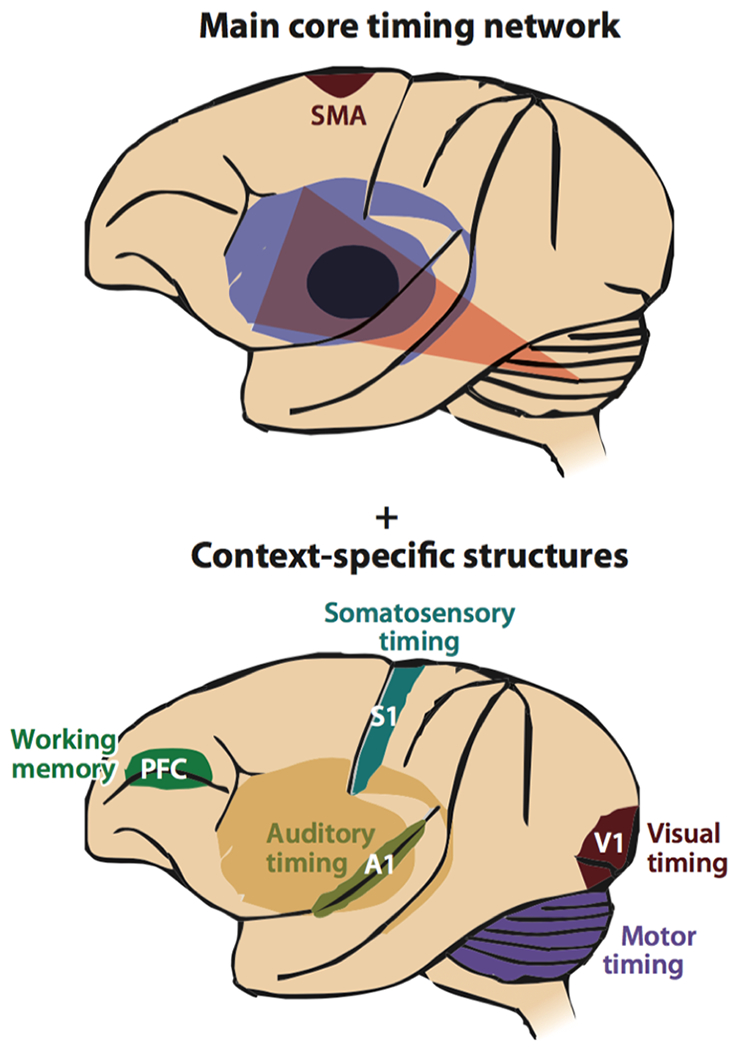 Figure 3.