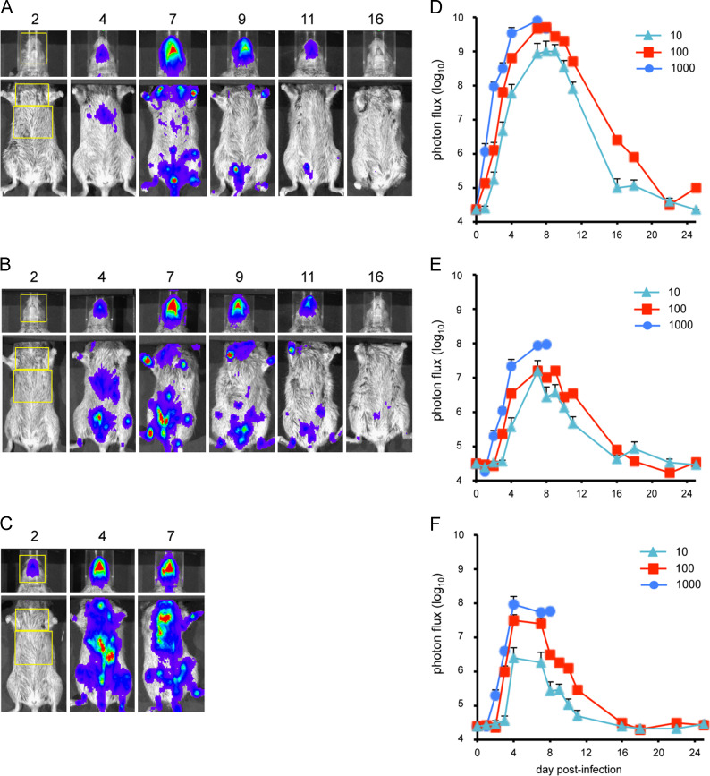 Fig. 4