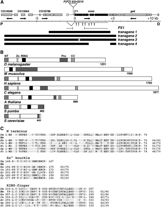 Figure 2.