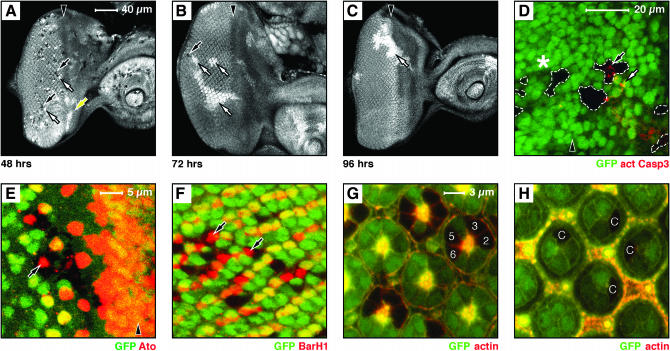 Figure 6.