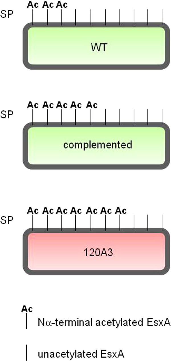 FIG 6