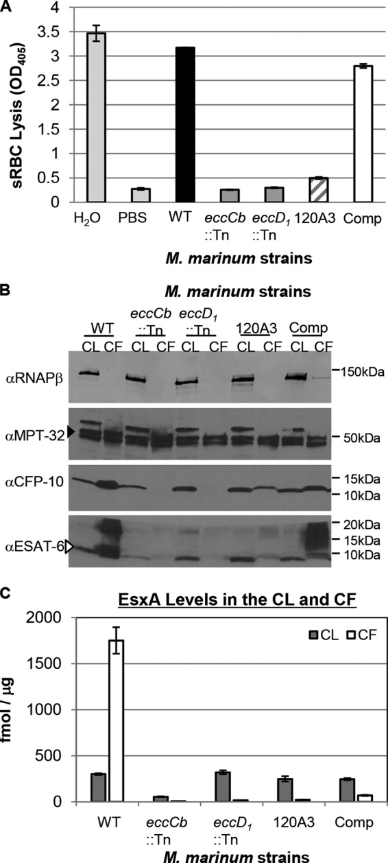 FIG 4