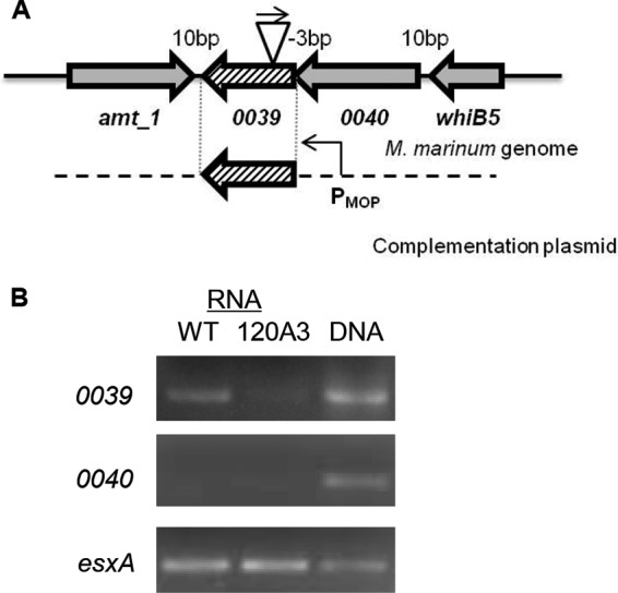 FIG 2