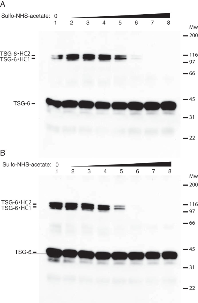 FIGURE 10.