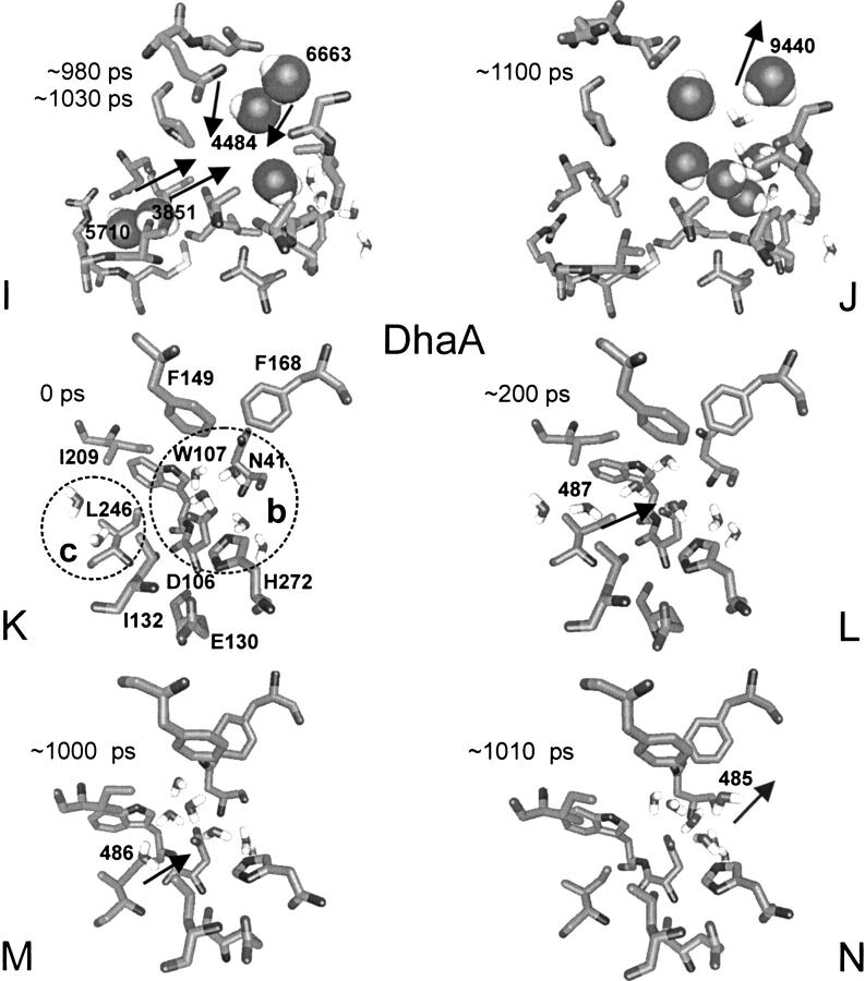 Fig. 5.