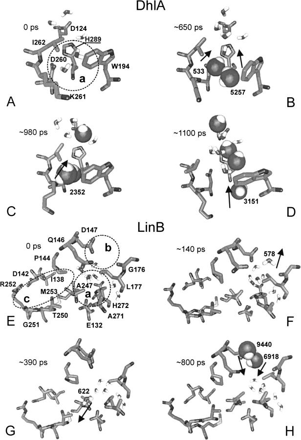 Fig. 5.