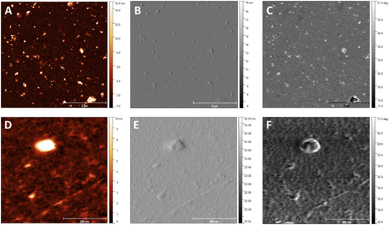 Figure 3.