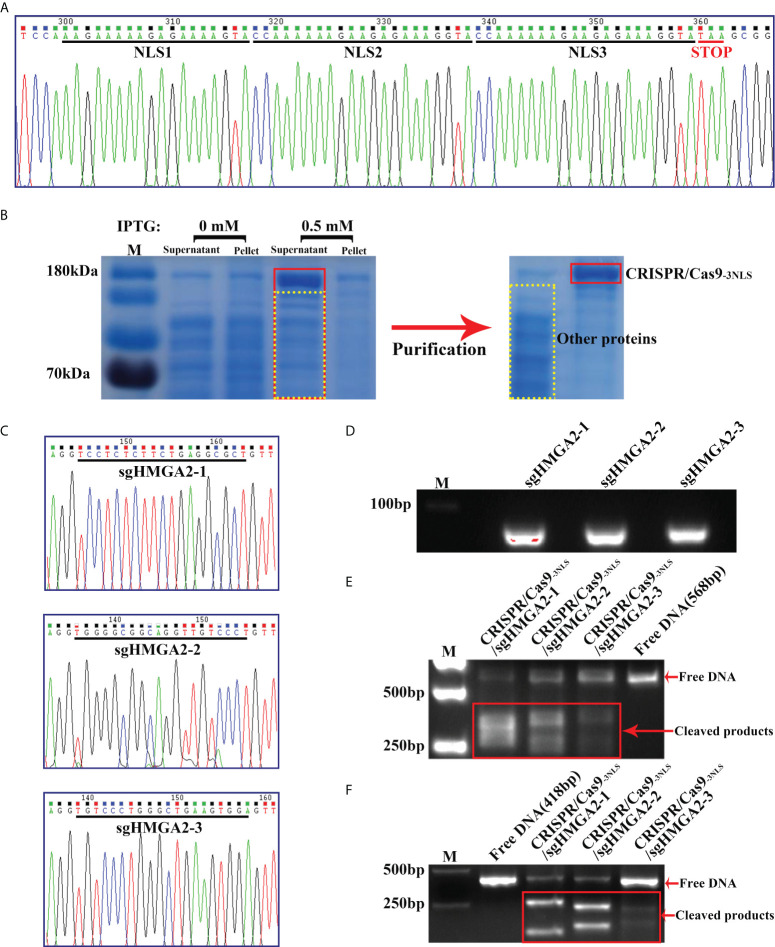 Figure 2