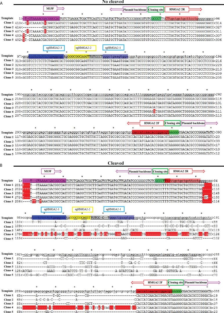 Figure 5