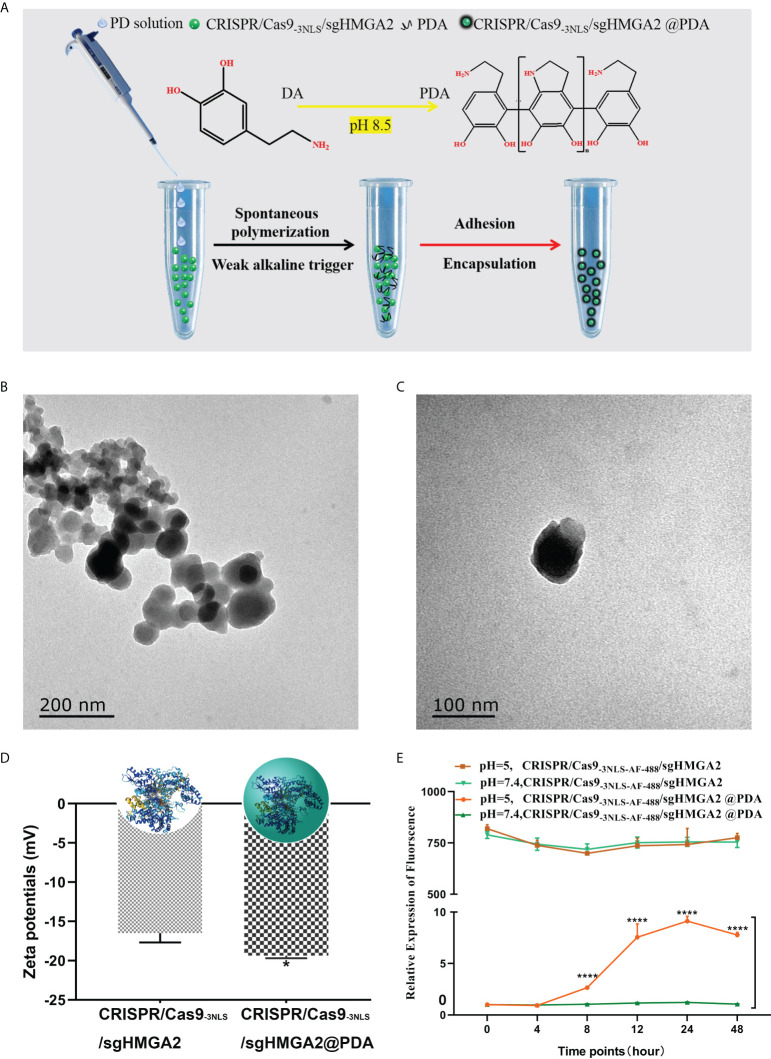 Figure 3