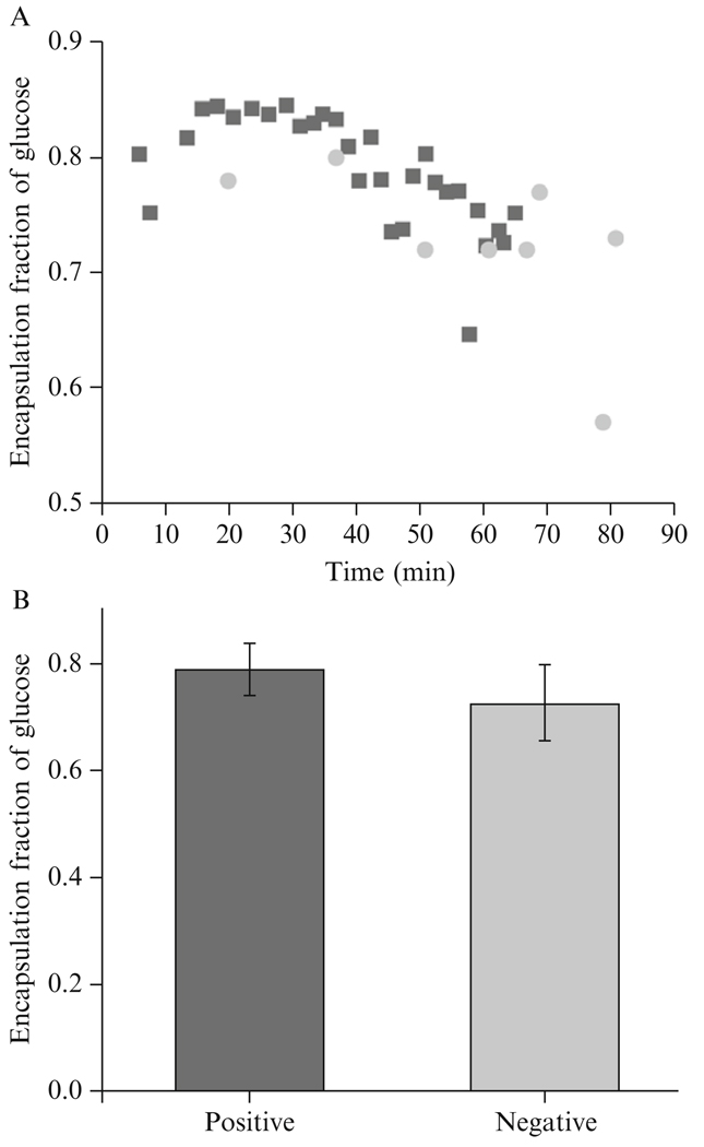 Figure 4.7