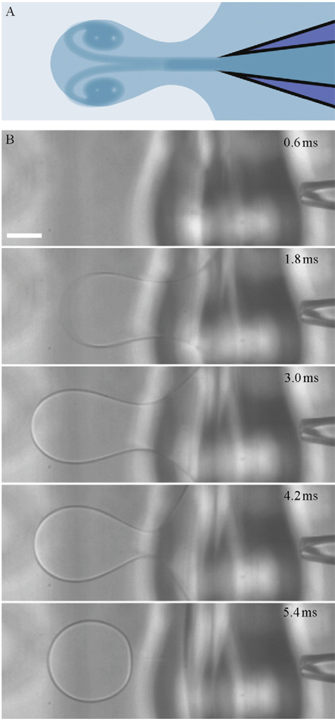 Figure 4.1