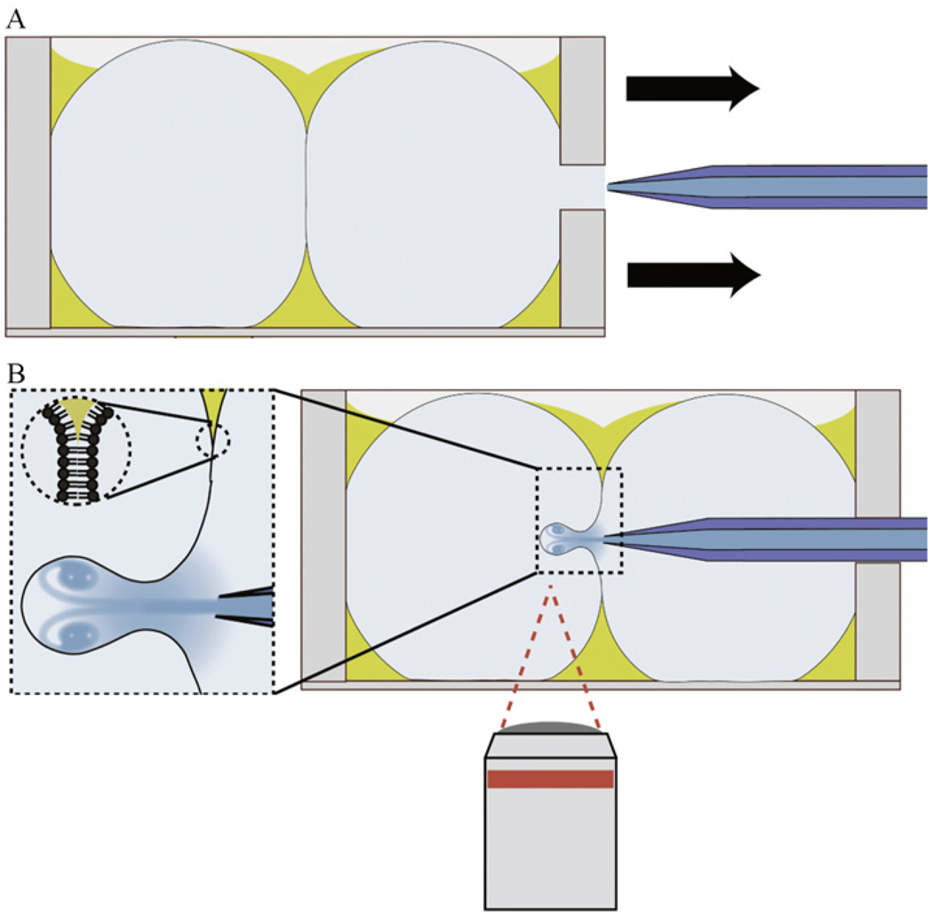 Figure 4.2